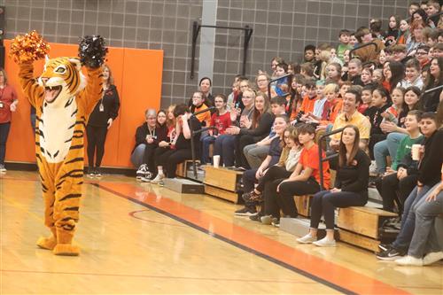  MACS the Tiger pumps up the crowd at the Q2 pep rally