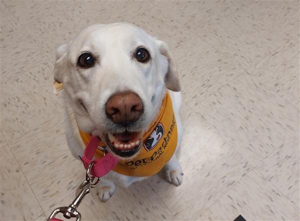  Kee the service dog at Mexico Middle School
